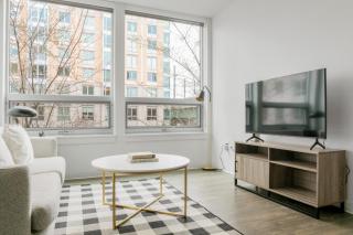 E Cambridge 2BR w Gym WD nr Lechmere T BOS-635 - Boston - 0