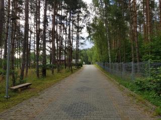 AgroDana Malinka - Wisełka - 3