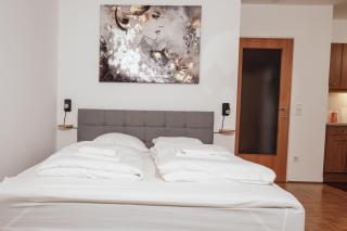 Buergerspitalgasse Zentrale Wohnung am Westbahnhof - 3