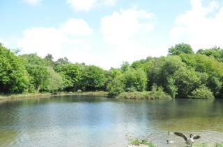 Pinetum Garden Cottages - 1