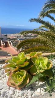 Balcon del Atlantico Costa de Adeje Teneryfa Apartament z jedna sypilnia do wynajecia.. - Adeje - 7