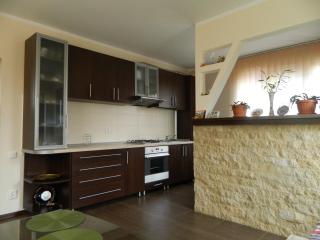 Villa Blacky - Cluj-Napoca - 4