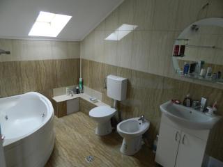 Villa Blacky - Cluj-Napoca - 1