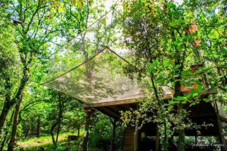 TENTE HIBOU INSOLITE AVEC FILET DE DETENTE Camping lou cantou cevenol - 6