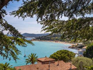 Apartment Les Floralies II-3 by Interhome - Le Lavandou - 0