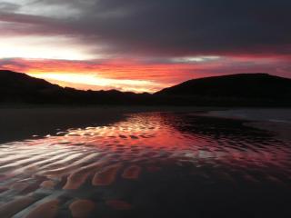 Catlins Newhaven Holiday Park - Owaka - 5
