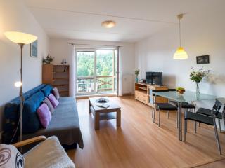 Apartment Sluneční stráň IV by Interhome - 5