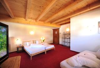 Hotel Traube - Fliess - 5