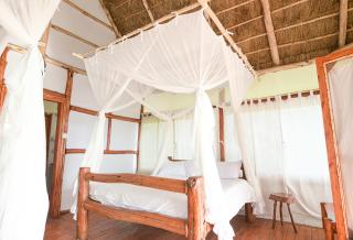 Kazinga Wilderness Safari Camp - Kasese - 4