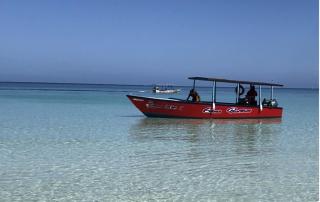 Seacret Studios - Cozy Jamaican Retreat apts - Negril - 8