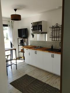 Studio de charme en Provence - Caromb - 4