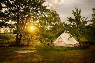 Glamping Hive - - 6