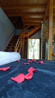 Casa Kafka - Bio Cult - 4