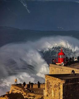 Cheirinho a Mar AL - Nazaré - 4