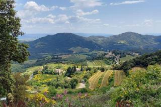 Situation exceptionnelle, villa Labori, luxueuse - 9