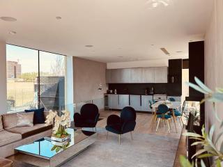 3 Bed Penthouse Hoxton Square london with Terrace - 7