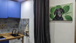 Zoey - Tiflis - 7