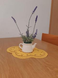 Apartman Antonela - Stari Grad - 7