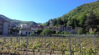 Agriturismo A Cà du Paipèru - Pieve di Teco - 2