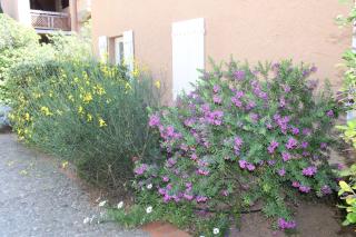 Apartement Pinede - 1