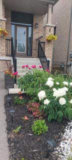 Jahsavvy's Nest - 8