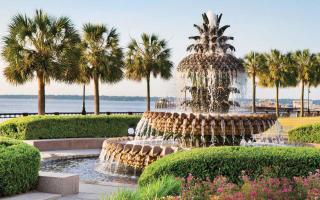 ☆Live on the Water! Lake Palmetto Palm w/ Patio - 10Min to Downtown & Beaches☆ - Charleston - 5