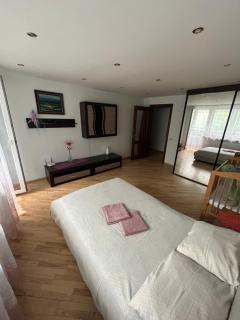 ELE 2 apartamentai - Palanga - 9