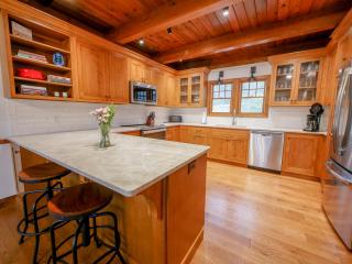 Awesome Lakefront with Outdoor Fireplace Hot Tub Dock - 4