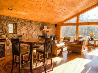 Nearby Private Lakefront with Hot Tub Fire Pit and Dock - 4