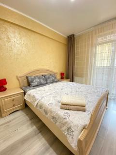 Two Bedroom Large Apartment in Chisinau - Chişinău - 6