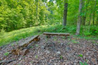 Waterfront Cottage with Dock on Papoose Lake! - Katinka Village - 3