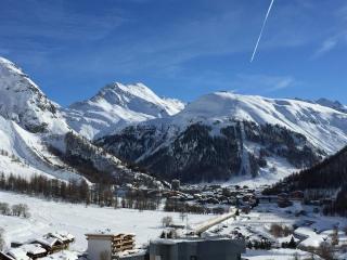 Confortable appartement skis aux pieds, wifi, animaux admis, parking, 3 pers La Daille - FR-1-694-238 - 9