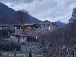 Bed & Wine Djonovic - Virpazar - 3