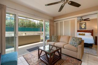 2 Bedroom Kapaa Condo, Pool, AC, Beach Access KK116 - 4