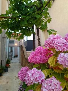 Apartman Gallery Freya - Zadar - 8