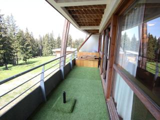 Appartement confortable à Chamrousse 1700, 2ème étage, terrasse sud, proche pistes et commerces - FR-1-549-126 - Chamrousse - 5