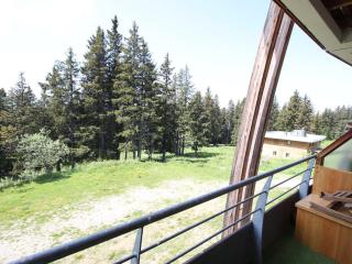 Appartement confortable à Chamrousse 1700, 2ème étage, terrasse sud, proche pistes et commerces - FR-1-549-126 - Chamrousse - 3
