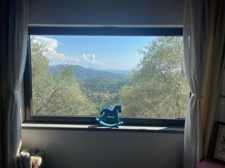 La Ghiandaia Monteggiori - 7