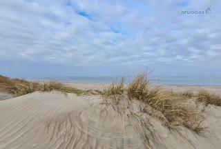 Apartamentai šalia baseino - 2