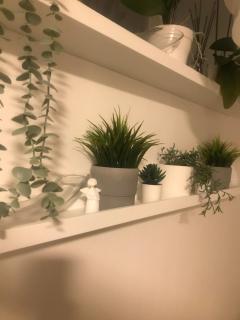 Apartman Vervis Varaždin - Varaždin - 2