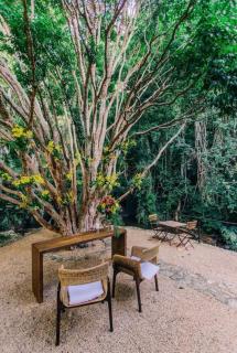 Villa Tanah - São Roque - 3
