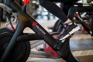 The Cottages at Naples Bay Resort - Naples - 8