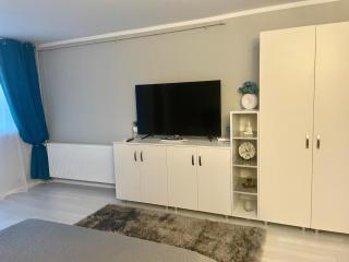 Elina studio - Drobeta-Turnu Severin - 4