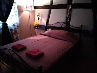 Petit Paradis - Colmar - 0