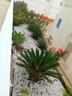 Burgau Mar - Burgau - 4