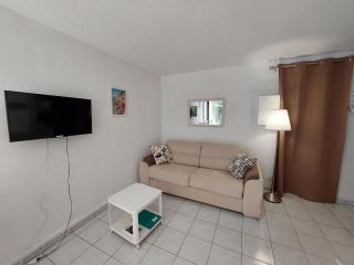 Appartement 2 pièces avec jardinet, proche plage et forêt à Saint-Georges-de-Didonne - FR-1-550-64 - Saint-Georges-de-Didonne - 8