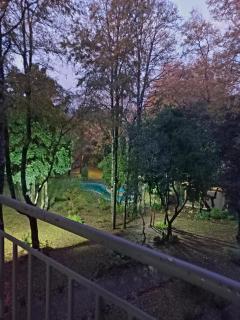 Parque suizo, Pucon - 8