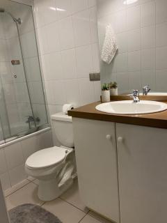 Parque suizo, Pucon - 1