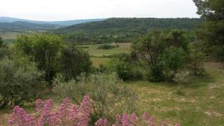 Le Logis - Gordes - 5