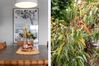 Blue Lagoon Jervis Bay - 5